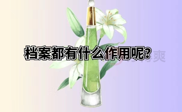 档案都有什么作用呢？