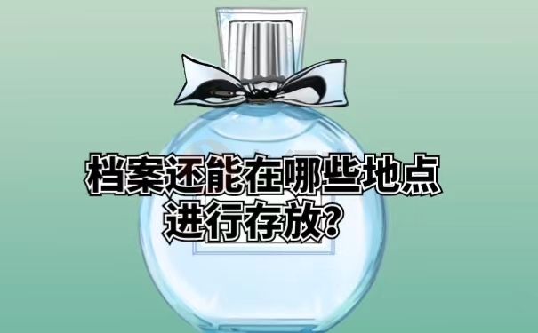 档案还能在哪些地点进行存放？