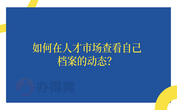 如何在人才市场查看自己档案的动态？