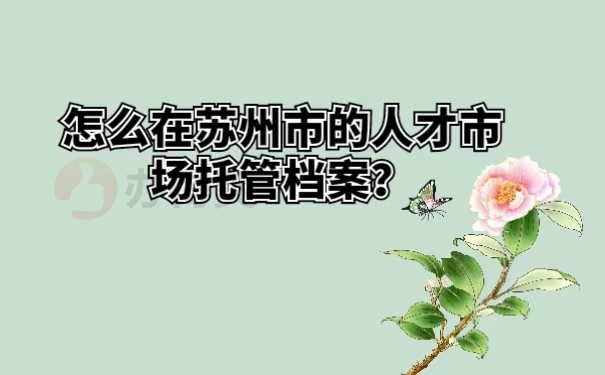 怎么在苏州市的人才市场托管档案？