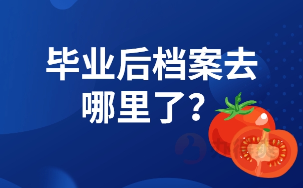 毕业后档案去哪里了？