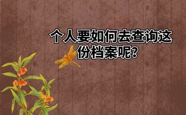 个人要如何去查询这份档案呢？