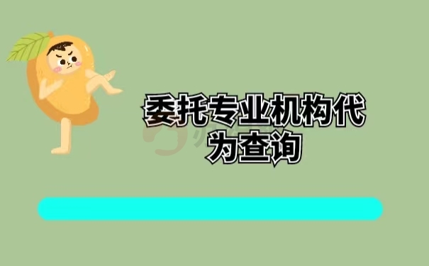 委托专业机构代为查询