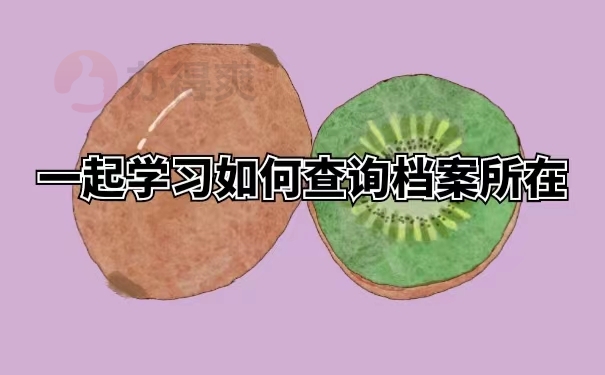 一起学习如何查询档案所在