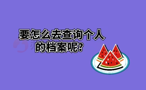 要怎么去查询个人的档案呢？