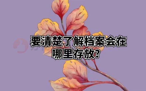 要清楚了解档案会在哪里存放？