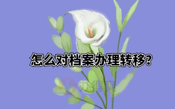 怎么对档案办理转移？