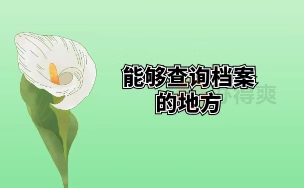 能够查询档案的地方