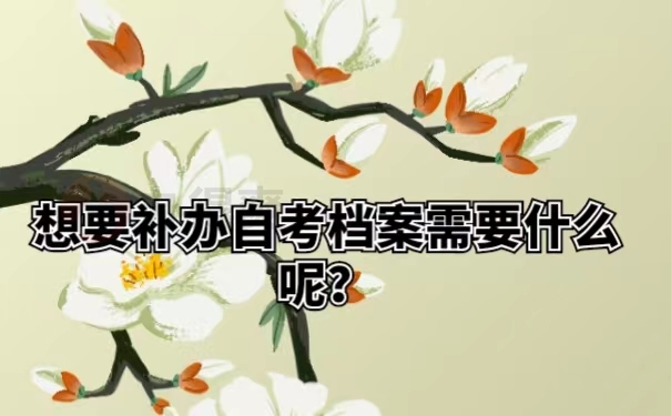 想要补办自考档案需要什么呢？