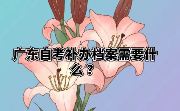 广东自考补办档案需要什么？