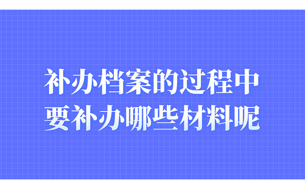 补办档案的过程中，要补办哪些材料？