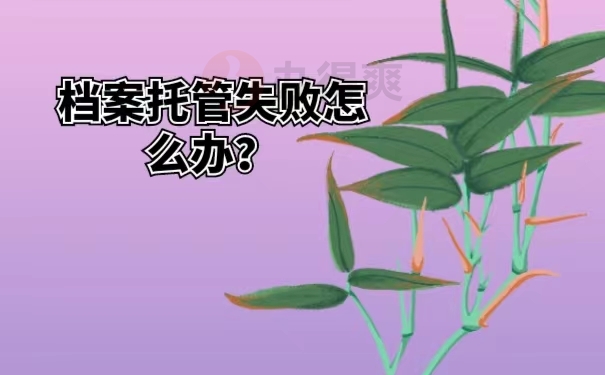 档案托管失败怎么办？