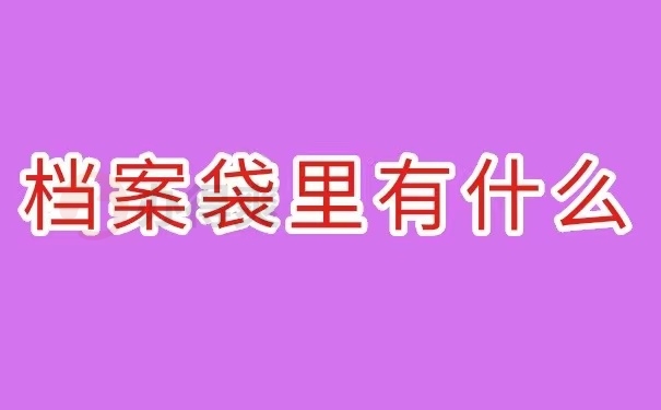 档案袋里有什么