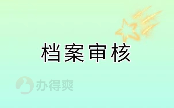 档案审核