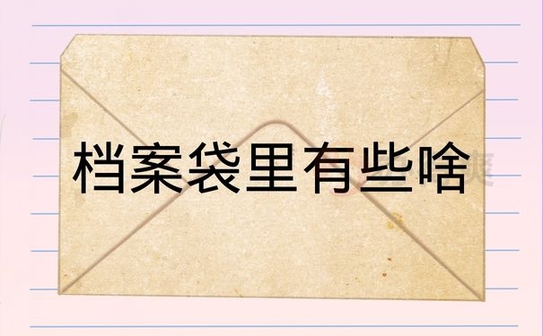 档案袋里有些啥