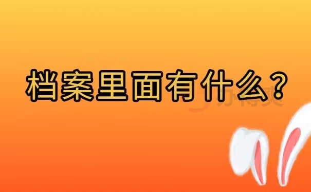 档案里有什么