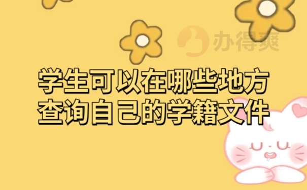 档案查询