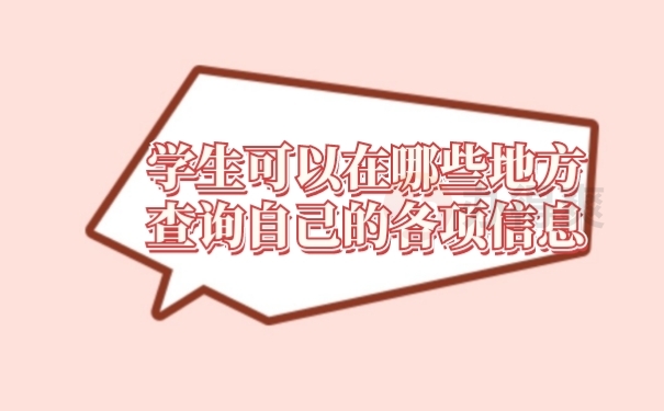 档案查询