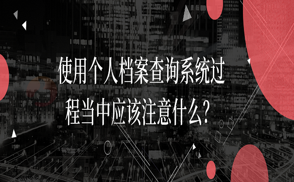 使用个人档案查询系统过程当中应该注意什么？