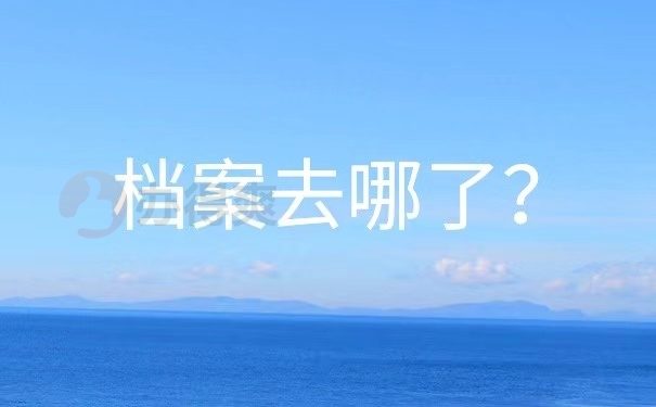档案去哪了