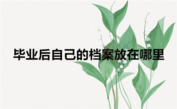 毕业后自己的档案放在哪里