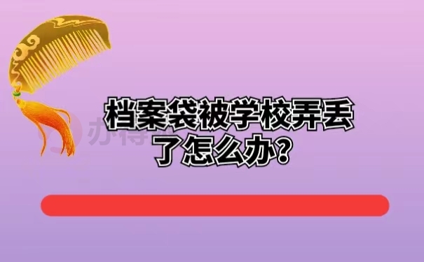 档案袋被学校弄丢了怎么办 ？