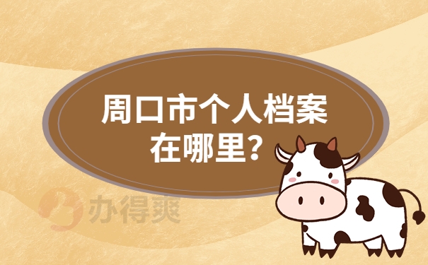 周口市个人档案在哪里？