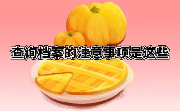 查询档案的注意事项是这些
