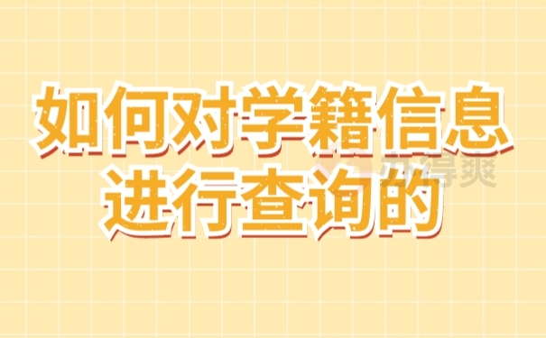 档案查询