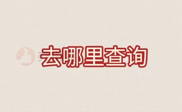 去哪里查询