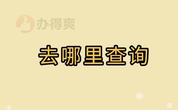 去哪里查询