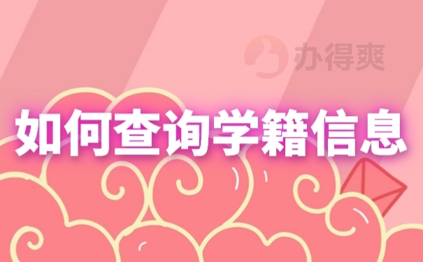 档案查询