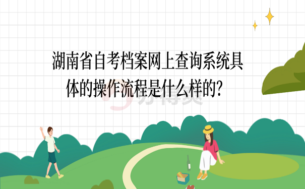 湖南省自考档案网上查询系统具体的操作流程是什么样的？