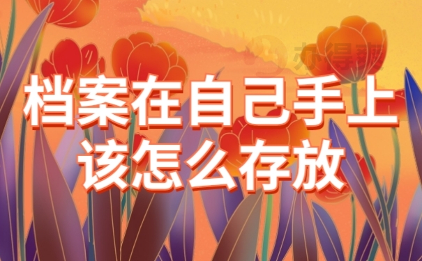 档案在手