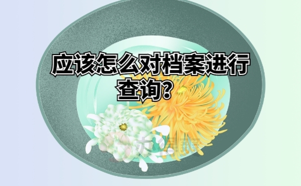 应该怎么对档案进行查询？