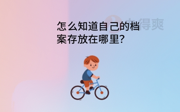 档案怎么查询？