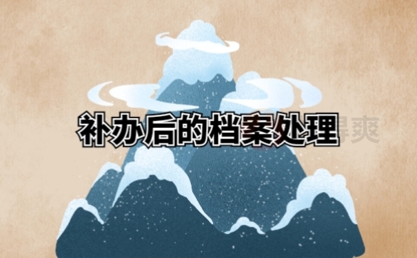 补办后的档案处理