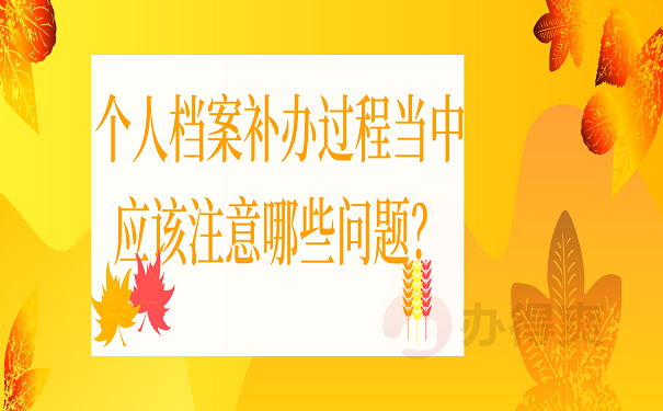 个人档案补办过程当中应该注意哪些问题？