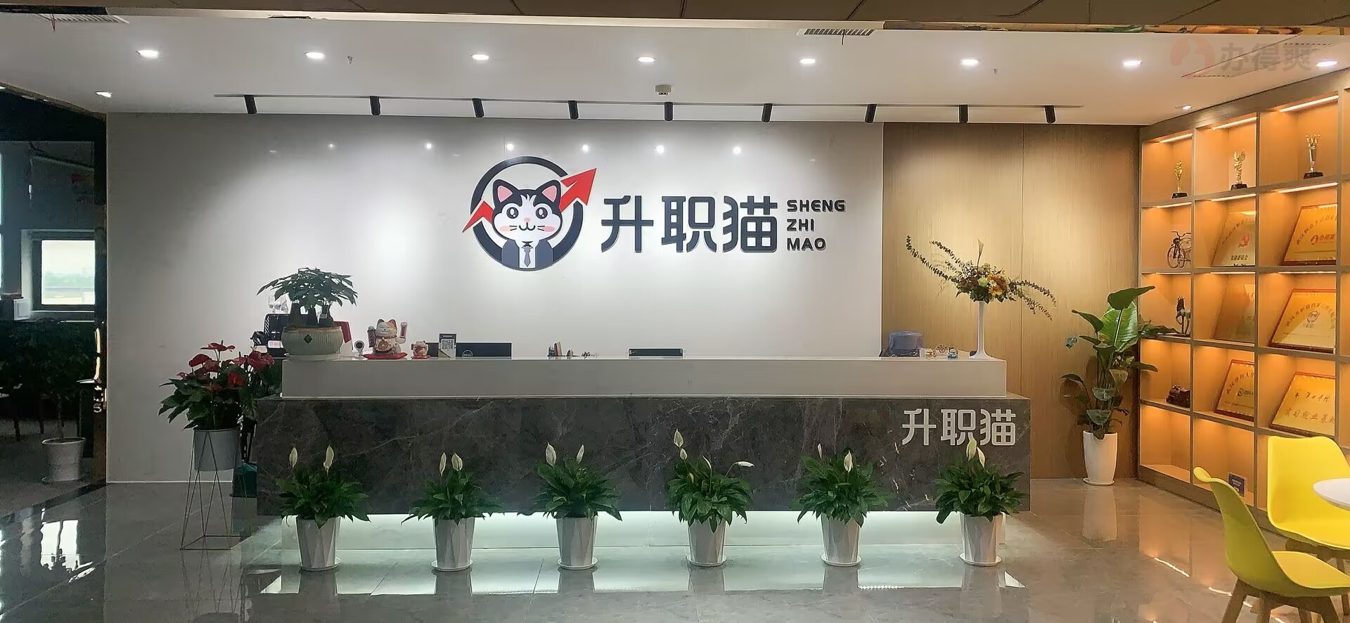 档案丢了怎么办？快速高效的补办方法？找升职猫补办档案怎么样？