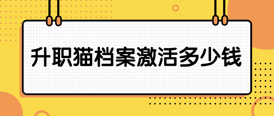 升职猫档案激活多少钱
