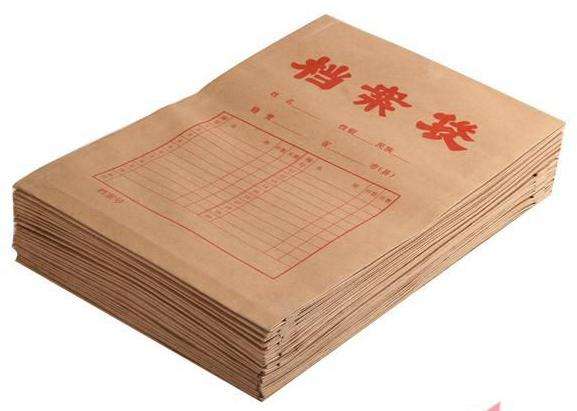 档案在自己手里政审能过吗?